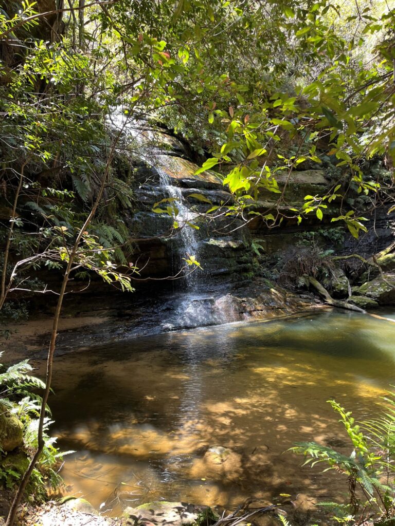 , Trek4TROG team rise to Blue Mountains challenge, TROG Cancer Research