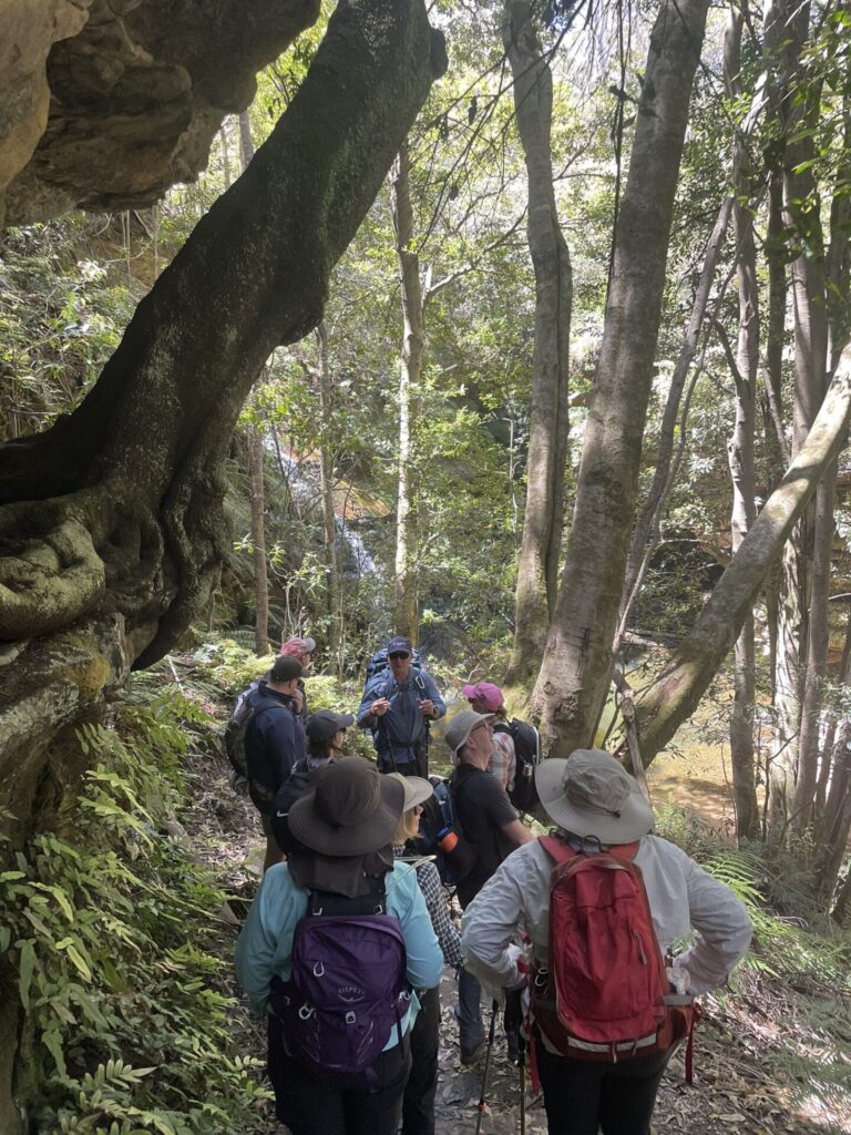 , Trek4TROG team rise to Blue Mountains challenge, TROG Cancer Research