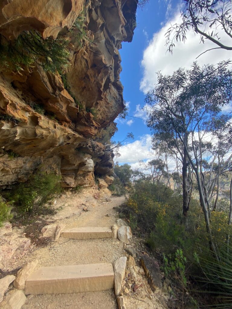 , Trek4TROG team rise to Blue Mountains challenge, TROG Cancer Research